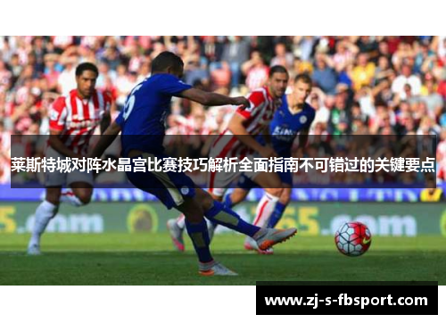 莱斯特城对阵水晶宫比赛技巧解析全面指南不可错过的关键要点
