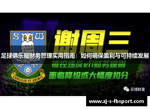 足球俱乐部财务管理实用指南:如何确保盈利与可持续发展