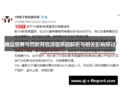 魏震禁赛与罚款背后深层原因解析与相关影响探讨